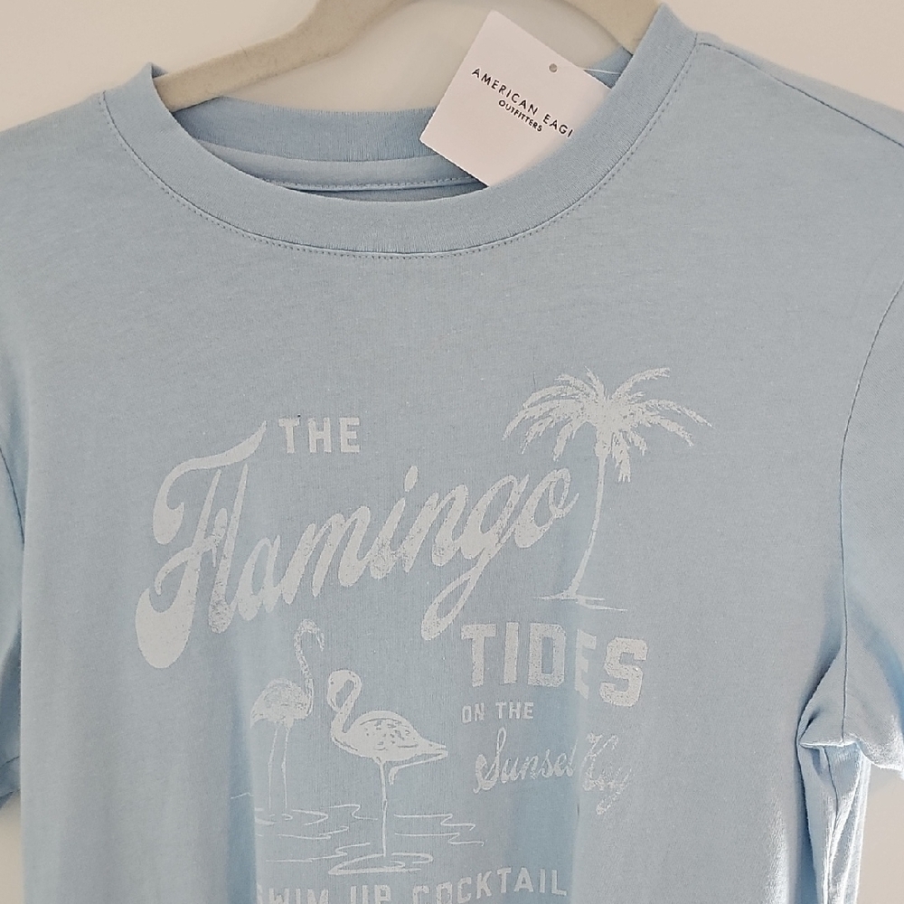 American Eagle Outfitters Light Blue Graphic Tee